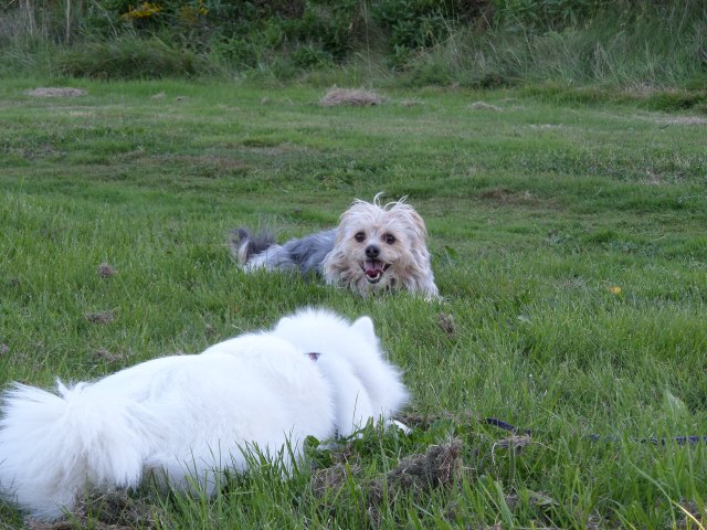 SAMSUNG CAMERA PICTURES