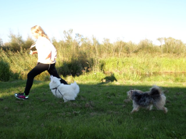 SAMSUNG CAMERA PICTURES