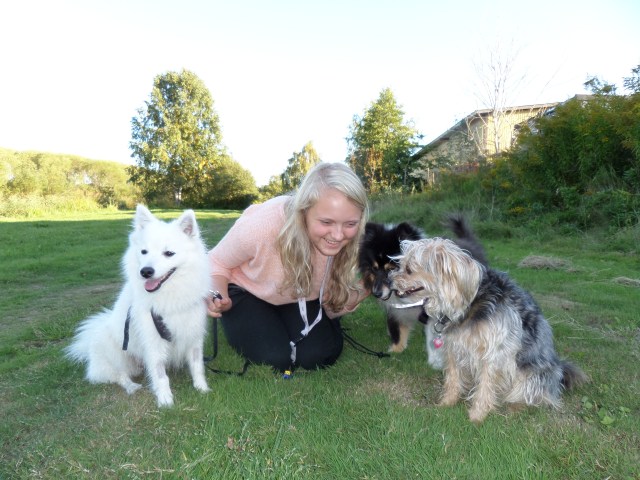 SAMSUNG CAMERA PICTURES