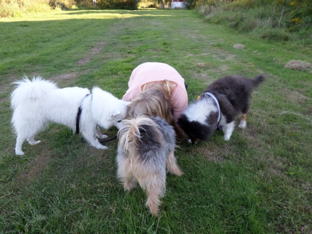 SAMSUNG CAMERA PICTURES