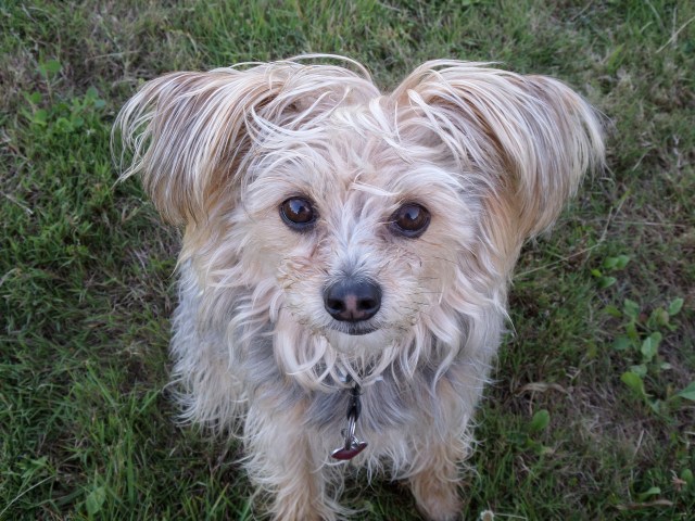 SAMSUNG CAMERA PICTURES