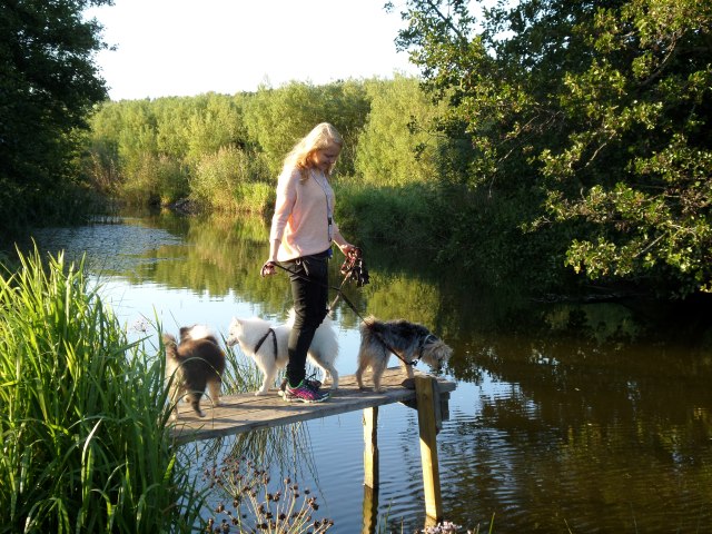 SAMSUNG CAMERA PICTURES