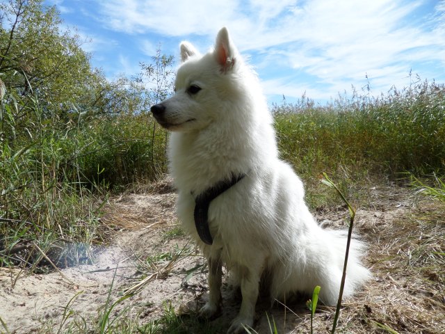 SAMSUNG CAMERA PICTURES