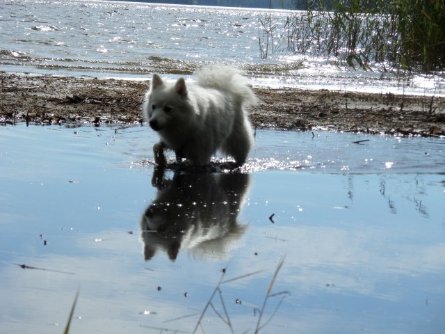 SAMSUNG CAMERA PICTURES