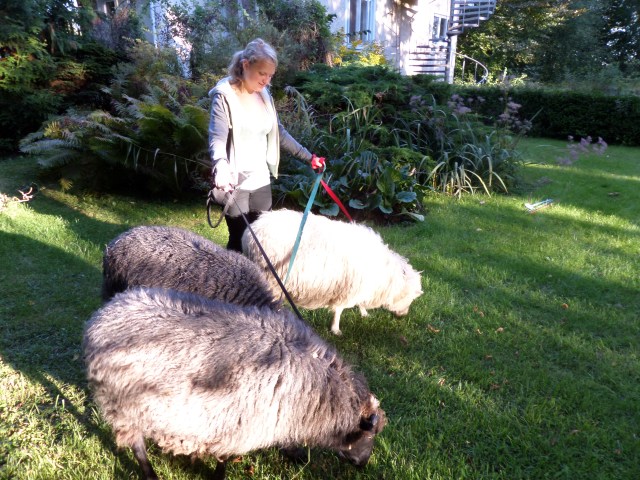 SAMSUNG CAMERA PICTURES