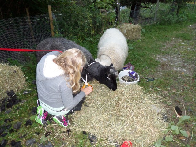 SAMSUNG CAMERA PICTURES