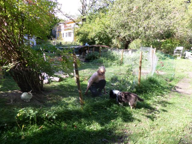 SAMSUNG CAMERA PICTURES