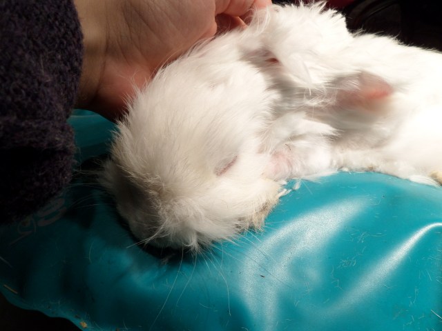 SAMSUNG CAMERA PICTURES