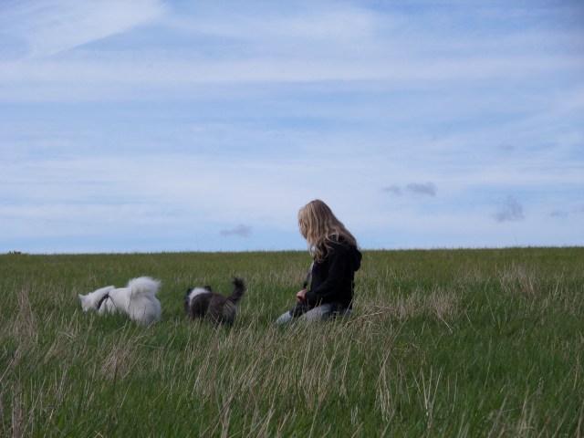 SAMSUNG CAMERA PICTURES