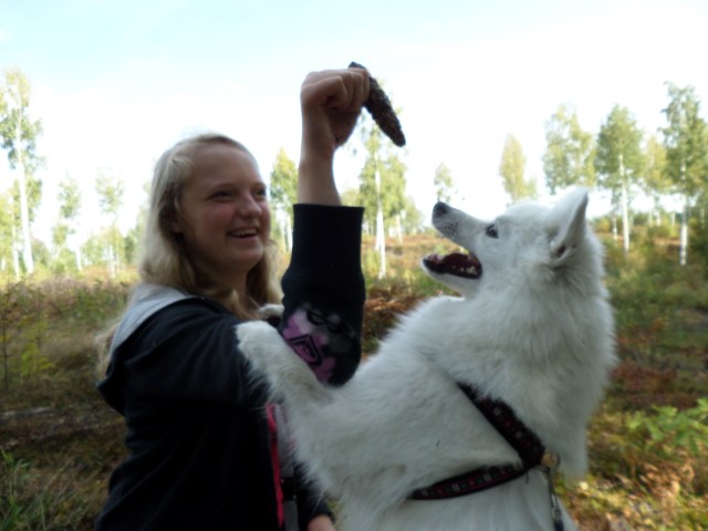 SAMSUNG CAMERA PICTURES