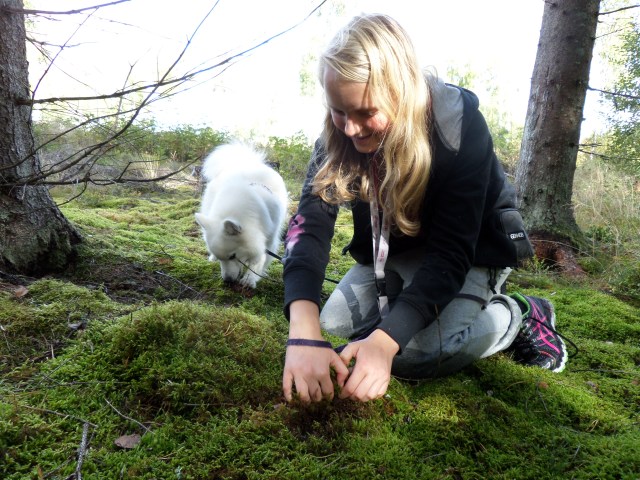 SAMSUNG CAMERA PICTURES