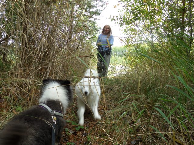 SAMSUNG CAMERA PICTURES