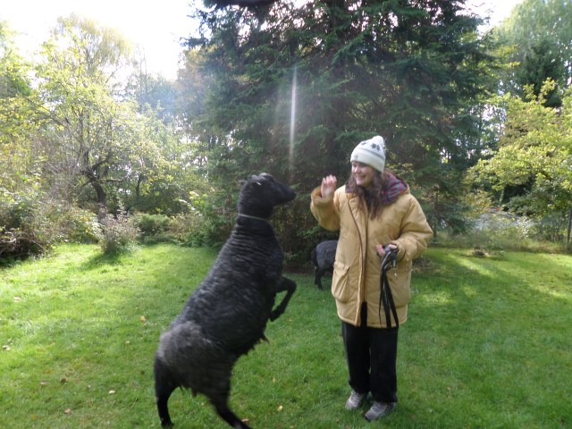 SAMSUNG CAMERA PICTURES