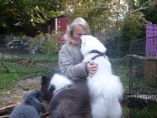 SAMSUNG CAMERA PICTURES