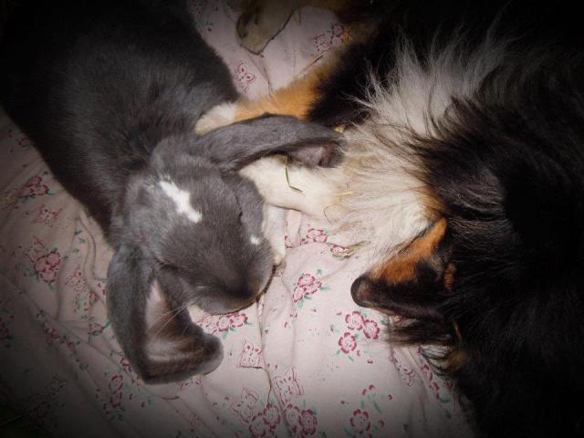 380567_310191958992572_1016994920_n